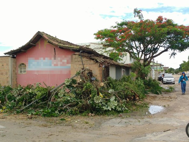 Tempestade com chuva e vento forte atingiu cidade de Teixeira de Freitas (Foto: Defesa Civil/ Teixeira de Freitas)