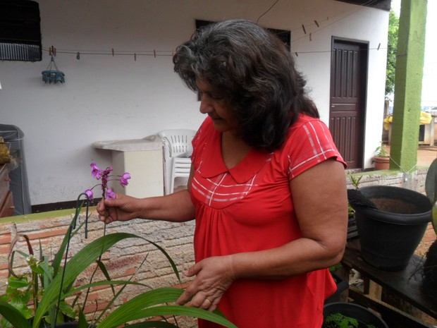 A profesosra possui mais de 300 orquídeas em casa (Foto: Andréia Machado/G1)
