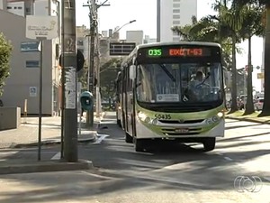 Corredor exclusivo para ônibus na Avenida T-63 ainda é alvo de polêmica, em Goiânia (Foto: Reprodução/TV Anhanguera)