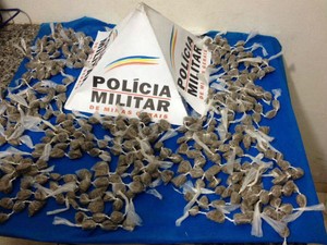 Buchas de maconha foram encontradas durante operação (Foto: Polícia Militar/Divulgação)