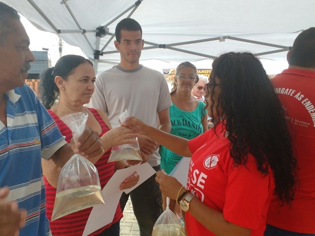 Peixes da espécie Guppy, que se alimentam das larvas do Aedes Aegypti, foram distribuídos (Foto: Silvia Rafaela/TV Asa Branca)