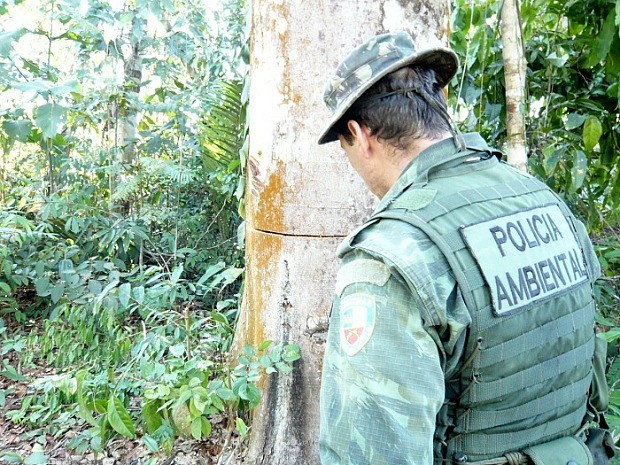 Policiais e Ibama identificaram modalidade (Foto: Divulgação/Batalhão Ambiental)