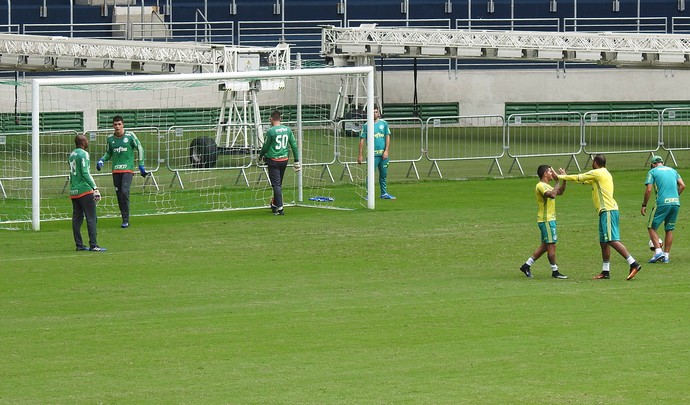 Antes de estreia, gramado da arena ainda não agrada 100% ao Palmeiras