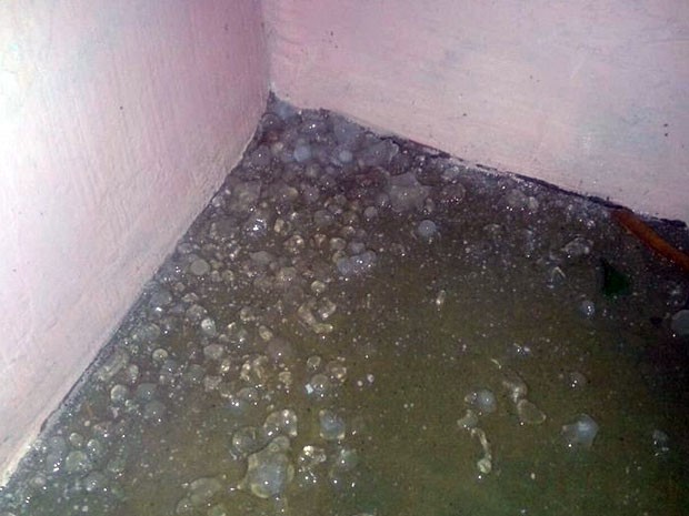 Pedras de gelo se acumularam em varandas e garagens de moradores da cidade (Foto: Alan Gomes)
