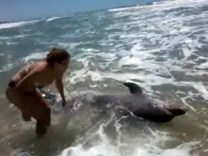 golfinho encalha na pria do presídio (Foto: Aquasis/Divulgação)