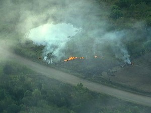 Pasto em fazenda é incendiado pelos índios terena na quinta-feira (30) (Foto: Reprodução/TV Morena)