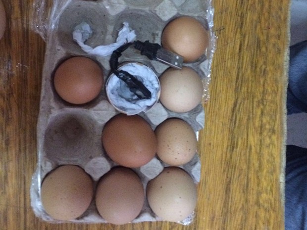 Carregador foi encontrado dentro de 'ovo falso', recoberto com papel (Foto: Direção do CDP de Apodi)