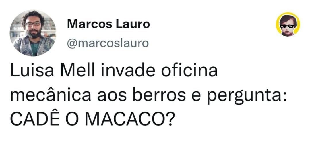 Luisa Mell vira meme (Foto: Instagram) Luisa Mell vira meme (Foto: Instagram)