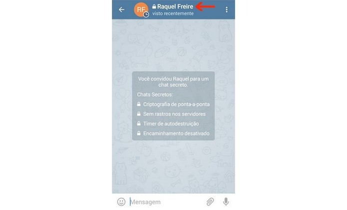 Tela de chat secreto do Telegram (Foto: Reprodução/Raquel Freire) Tela de chat secreto do Telegram (Foto: Reprodução/Raquel Freire)