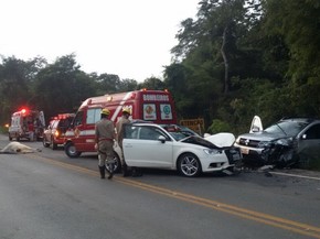 Jovem morreu após bater contra vaca e atingir carro em Ipameri, Goiás (Foto: Divulgação/Corpo de Bombeiros) Jovem morreu após bater contra vaca e atingir carro em Ipameri, Goiás (Foto: Divulgação/Corpo de Bombeiros)