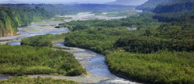 Polêmica no mercado da biodiversidade no Brasil (Foto: Thinkstock) Polêmica no mercado da biodiversidade no Brasil (Foto: Thinkstock)