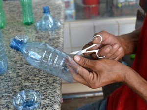 Todas são cortadas no mesmo sentido (Foto: Magda Oliveira/G1)