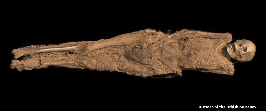 Escâneres de última geração permitiram ver múmias milenares através de suas bandagens pela primeira vez (Foto: Trustees of the British Museum/BBC)