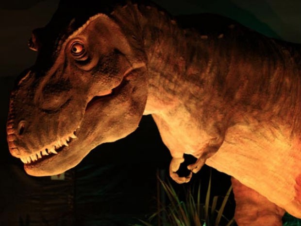 Exposição com réplicas de dinossauros gigantes chega a Vitória (Foto: Divulgação / Expo Mundo Jurássico)