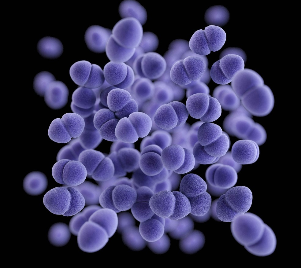 Imagem gerada por computador em 3D mostra aglomerado de bactéria Enterococcus resistente à vancomicina  (Foto: CDC/ James Archer)
