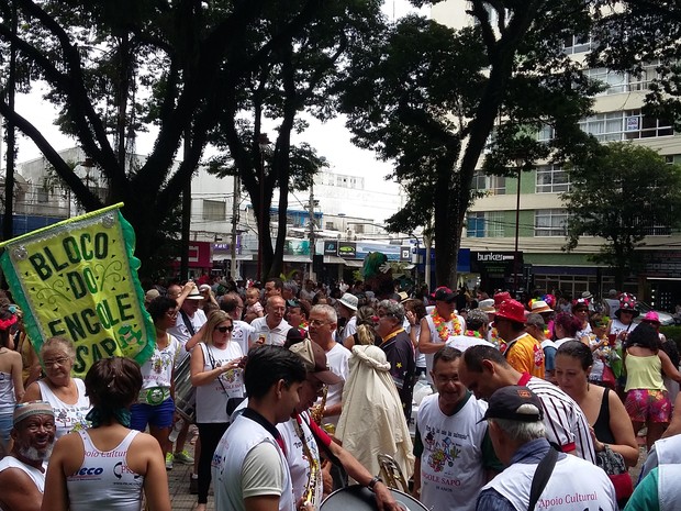 Bloco Engole Sapo percorreu as ruas de São José (Foto: Leonardo Medeiros/G1)