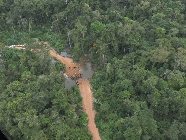 Reserva em Machadinho D&#39;Oeste, RO (Foto: Reprodução/Rede Amazônica)