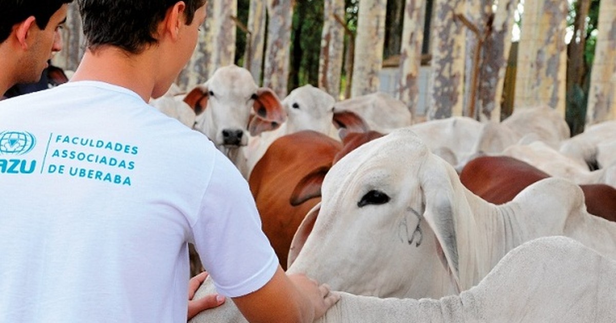 G1 Com mais de 40 anos