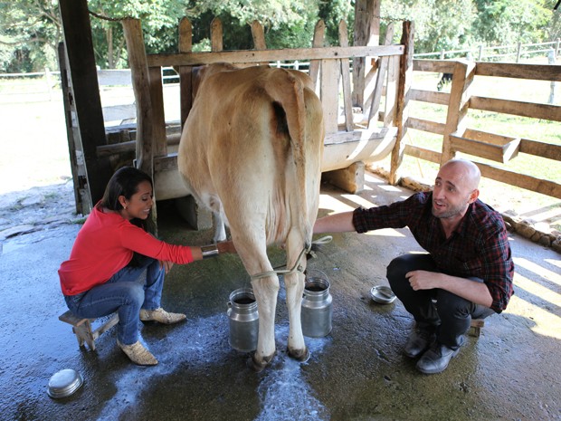 Aventuras no curral! Paulo Gustavo e Samantha tirando leite de vaca (Foto: TV Globo/Estrelas)