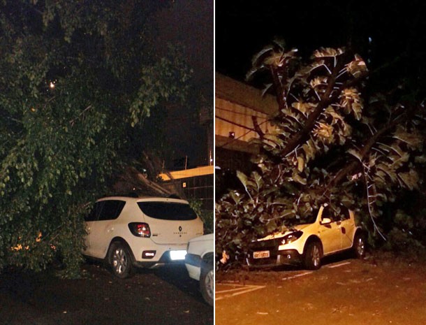 No Cordeiro e no Espinheiro, árvores caíram em cima de veículos. Ninguém se feriu (Foto: Ricário Campos e Audemício Sobral / WhatsApp)
