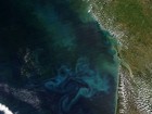 Satélite da Nasa capta formação de fitoplânctons no litoral da França