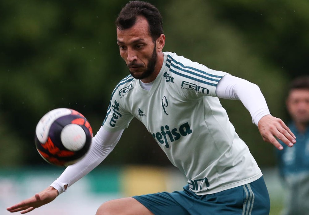 Palmeiras se reapresenta, e Dracena fala em lição e esforço extra por vaga