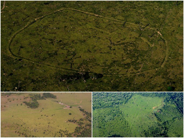 Geoglifos foram encontrados na divisa entre os Estados do Amazonas e do Acre (Foto: Diego Gurgel / Divulgação UFPA)