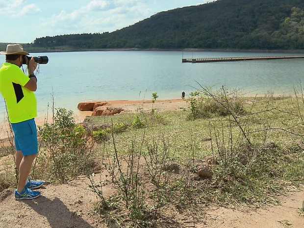 Fotógrafo registra ponta que estava submersa no Lago de Furnas. (Foto: Reprodução EPTV/Claudemir Camilo)