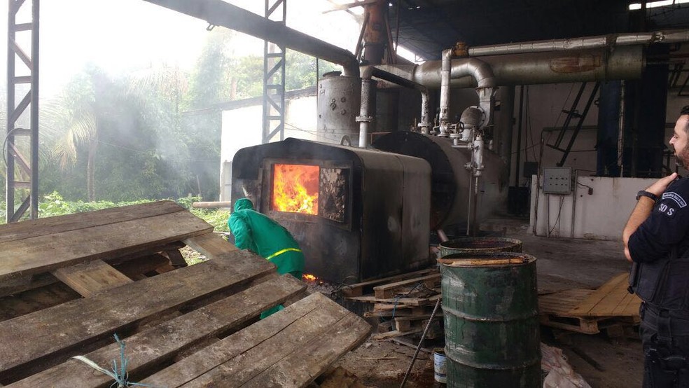 Polícia incinera quase 500 quilos de drogas em Pernambuco (Foto: Divulgação/Polícia Civil)