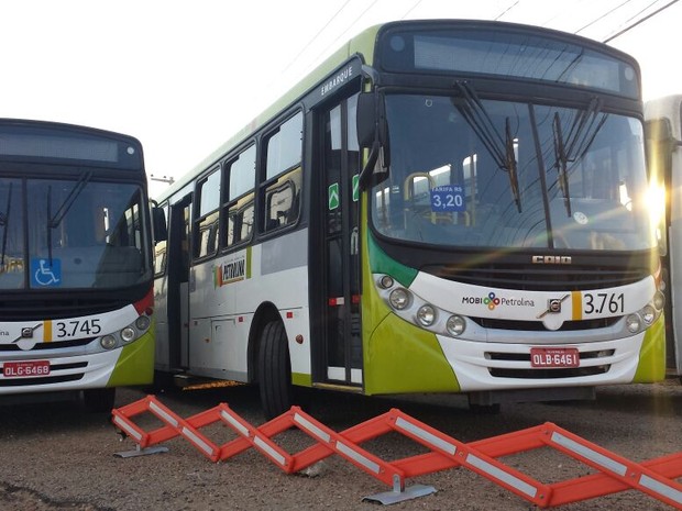 Ônibus da empresa Viva Petrolina são apreendidos (Foto: Aracelly Romão/ TV Grande Rio)