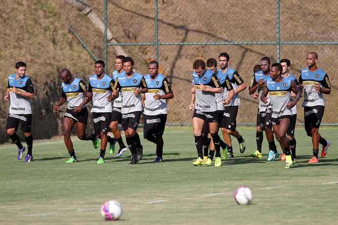 Botafogo 2015 (Foto: Vitor Silva / SSpress / Botafogo)