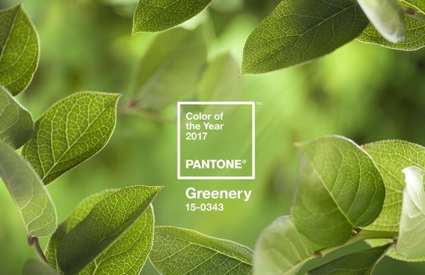 Greenery Ã© a cor de 2017 da Pantone (Foto: divulgaÃ§Ã£o)
