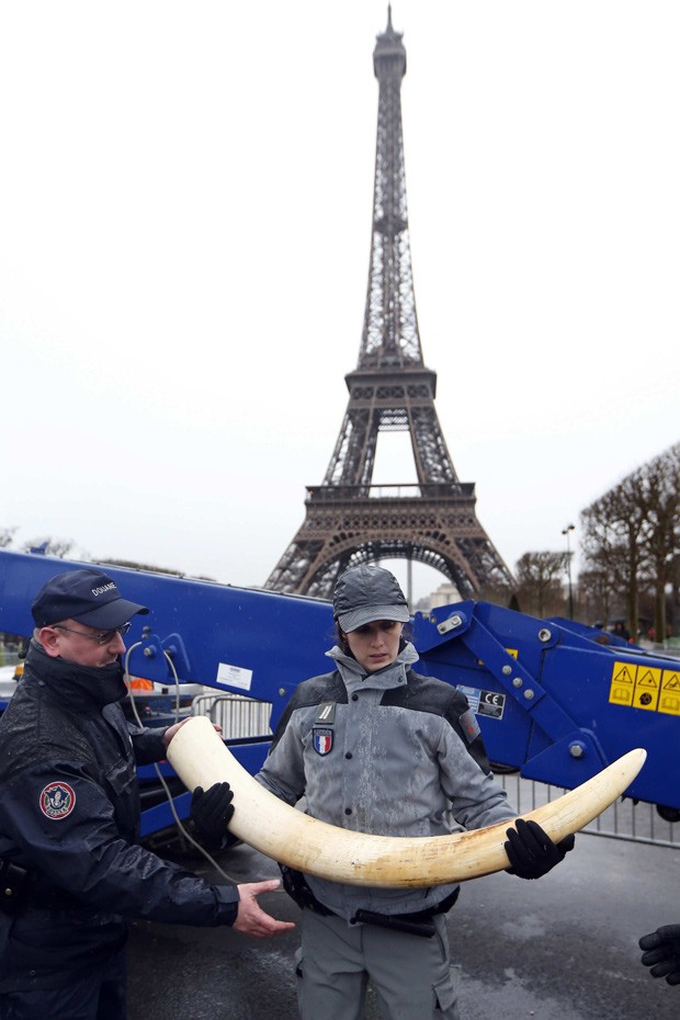 Torre Eiffel é vista ao fundo durante ação em Paris que destruiu 3 toneladas de marfim ilegal (Fot Reuters/Charles Platiau)