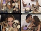 Rayanne Morais e Latino mostram novo cachorrinho