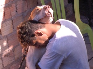 Cão da raça pitbull é da família (Foto: Reprodução/TV Tapajós)