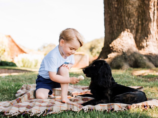 Príncipe George brinca com o cachorro da família, Lupo (Foto: Matt Porteous/Duke and Duchess of Cambridge/Reuters)