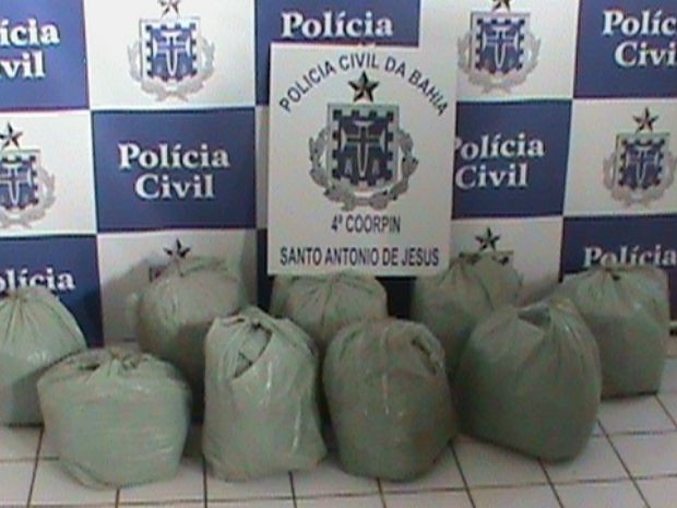 Sacos de maconha estavam enterrados num matagal em São Roque do Paraguaçu, na Bahia (Foto: Divulgação/Polícia Civil)