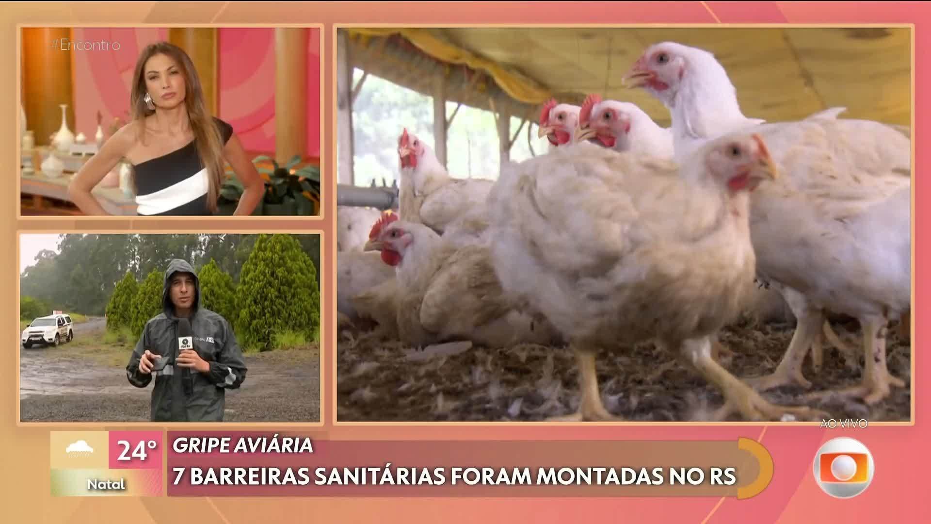 Vídeos do episódio de 'Encontro com Patrícia Poeta' de terça-feira, 20 ...