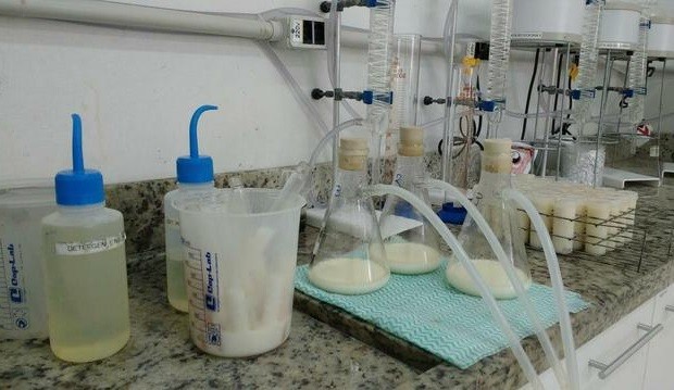 Segundo a investigação, produtos eram adicionados ao leite já imprópriopara consumo (Foto: Marjuliê Martini/Divulgação/MP)