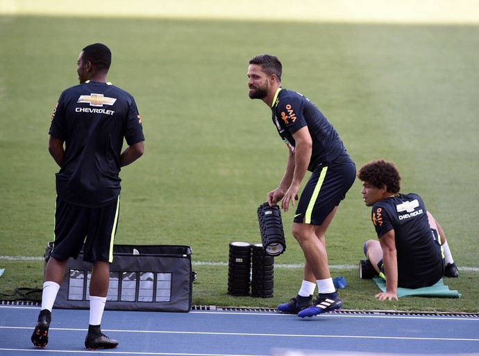 Robinho e Diego, treino seleção brasileira, Estádio Nilton Santos (Foto: André Durão)