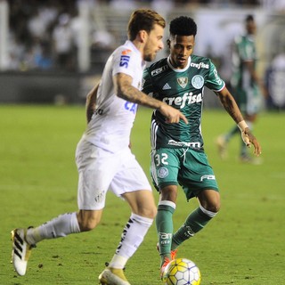 Santos x Palmeiras, Vila Belmiro (Foto: Marcos Ribolli)