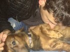 Sabrina Sato posta foto de namorado com cachorro 