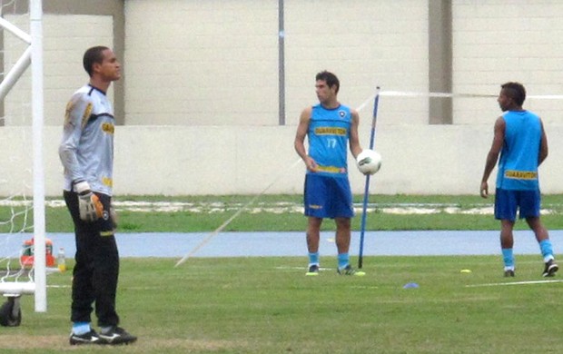 Herrera e Vitor Júnior Botafogo (Foto: André Casado / Globoesporte.com)