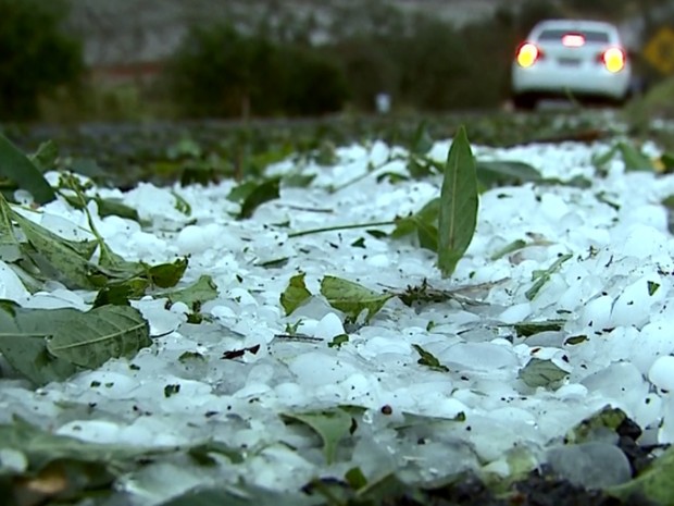 Rodovia fica coberta de gelo após chuva de granizo em Pratápolis (MG) (Foto: Reprodução EPTV / Cacá Trovó) Rodovia fica coberta de gelo após chuva de granizo em Pratápolis (MG) (Foto: Reprodução EPTV / Cacá Trovó)