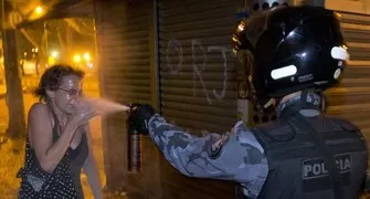 Policial ataca mulher com spray em ato; confira fotos impressionantes de 2013 (Victor R. Caivano/AP)