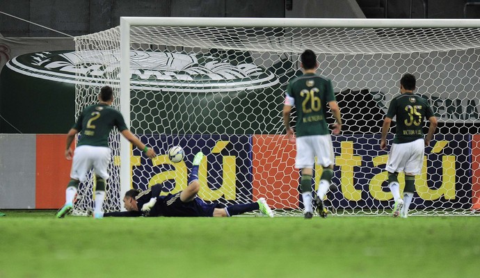 Fernando Prass Palmeiras gol de Ananias (Foto: Marcos Ribolli)