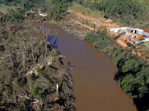 Mata ciliar às margens do Rio Atibaia, em Campinas (Foto: Reprodução EPTV) Mata ciliar às margens do Rio Atibaia, em Campinas (Foto: Reprodução EPTV)