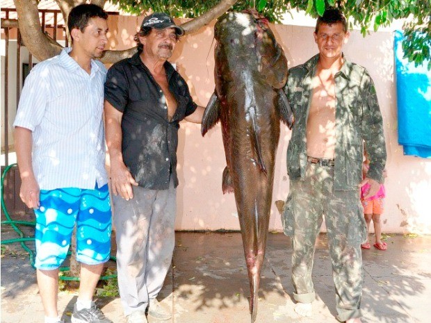Homem pesca peixe de 1,75 m e 80 quilos em rio de MS (Foto: Márcio Rogério de Souza/Arquivo Pessoal)