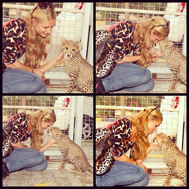 Paris Hilton com leopardo (Foto: Reprodução/Instagram) Paris Hilton com leopardo (Foto: Reprodução/Instagram)