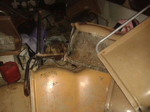 Pelo menos sete passageiros do ônibus morreram (Foto: Serli Santos/ TV Gazeta)